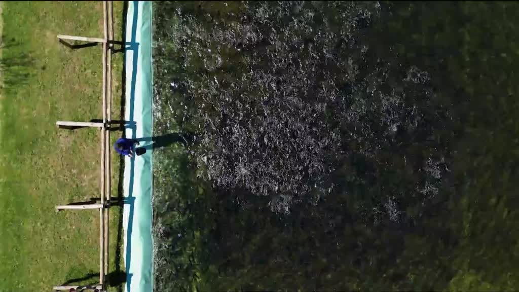 Imagem de Entre o Mar e a Terra - Sonâmbulos a Apascentar a Eternidade e Nossas Senhoras dos Impossíveis