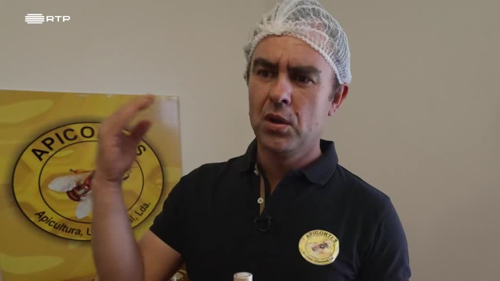 Imagem de Entre o Mar e a Terra - De Deus Vem o Bem e das Abelhas o Mel