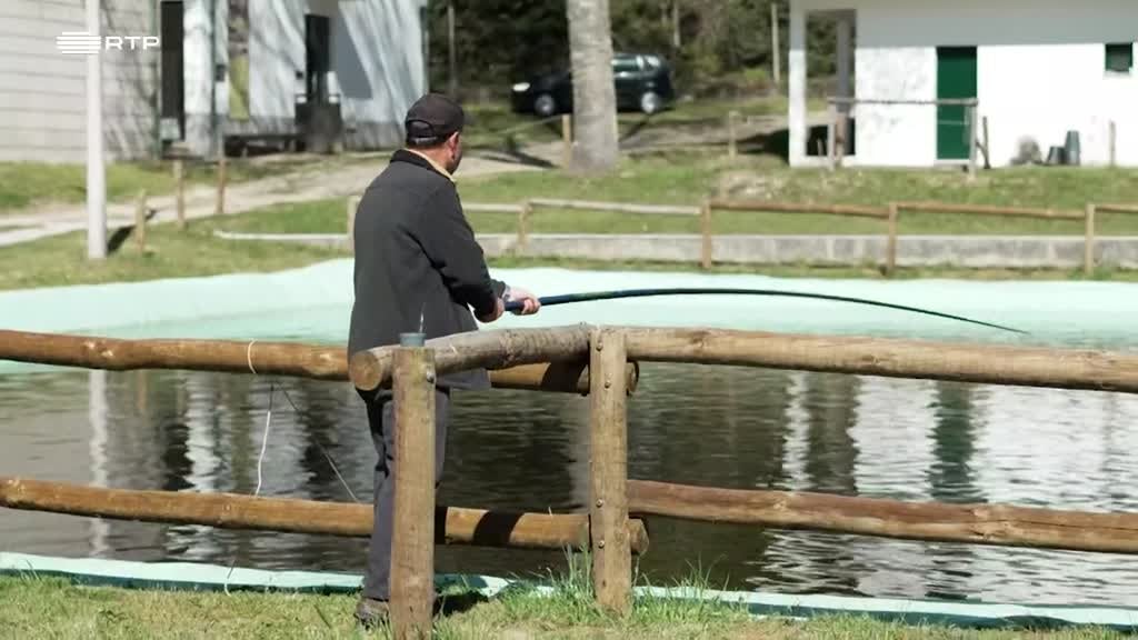 Imagem de Entre o Mar e a Terra - Sonâmbulos a Apascentar a Eternidade e Nossas Senhoras dos Impossíveis
