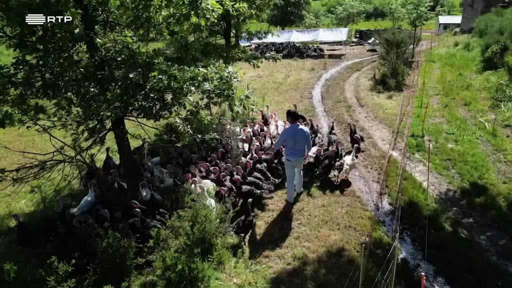 Imagem de Entre o Mar e a Terra - No Sopé da Serra as Estrelas Estão na Terra