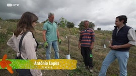 Imagem de De um Alentejo Persa a um Oeste Selvagem