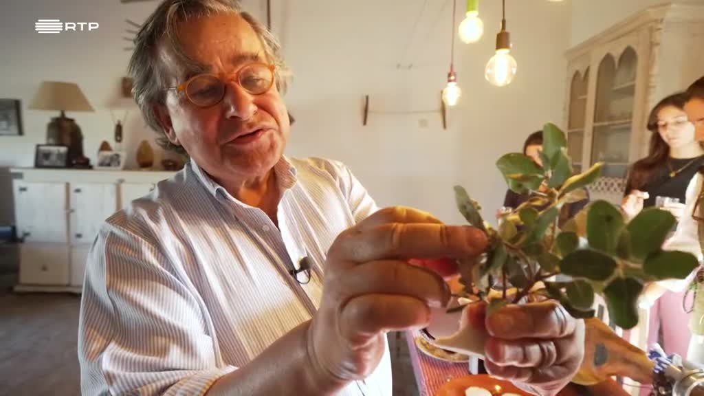 Imagem de Entre o Mar e a Terra - De Um Alentejo Selvagem ao Ouro Líquido das Terras Libertadas