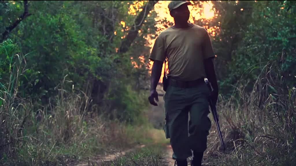 Imagem de Gorongosa - Regresso ao Paraíso Selvage
