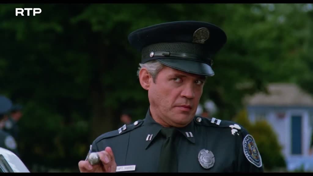 Imagem de Academia de Polícia 4: A Patrulha do Ci