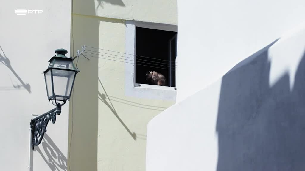 Imagem de Arq 3 - Casa OM