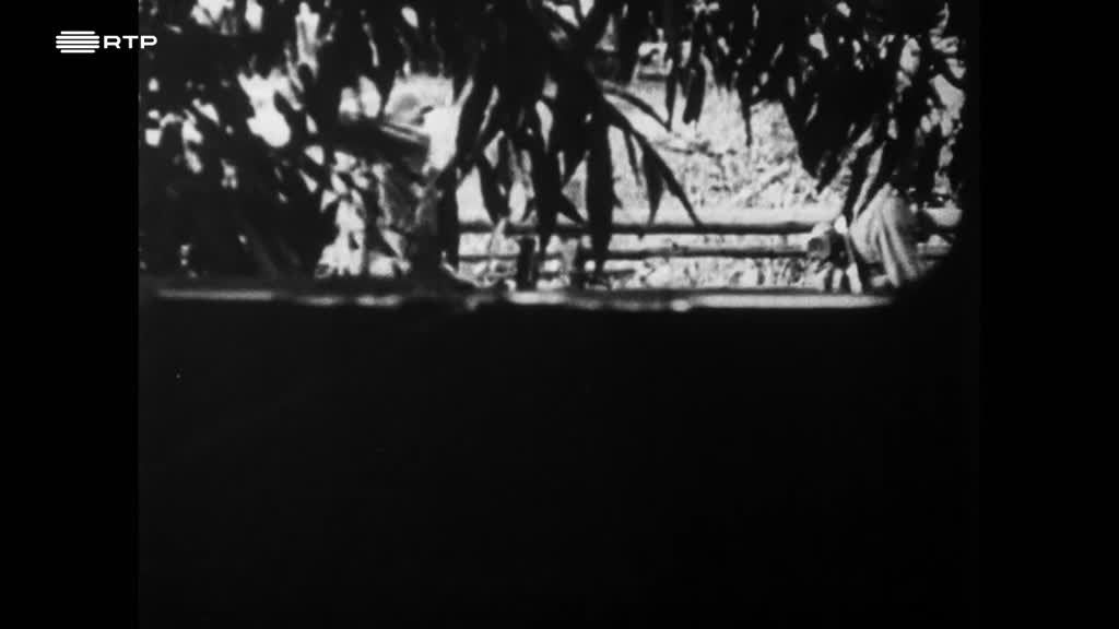 Imagem de Trabalhar para o Inimigo - Trabalhos For