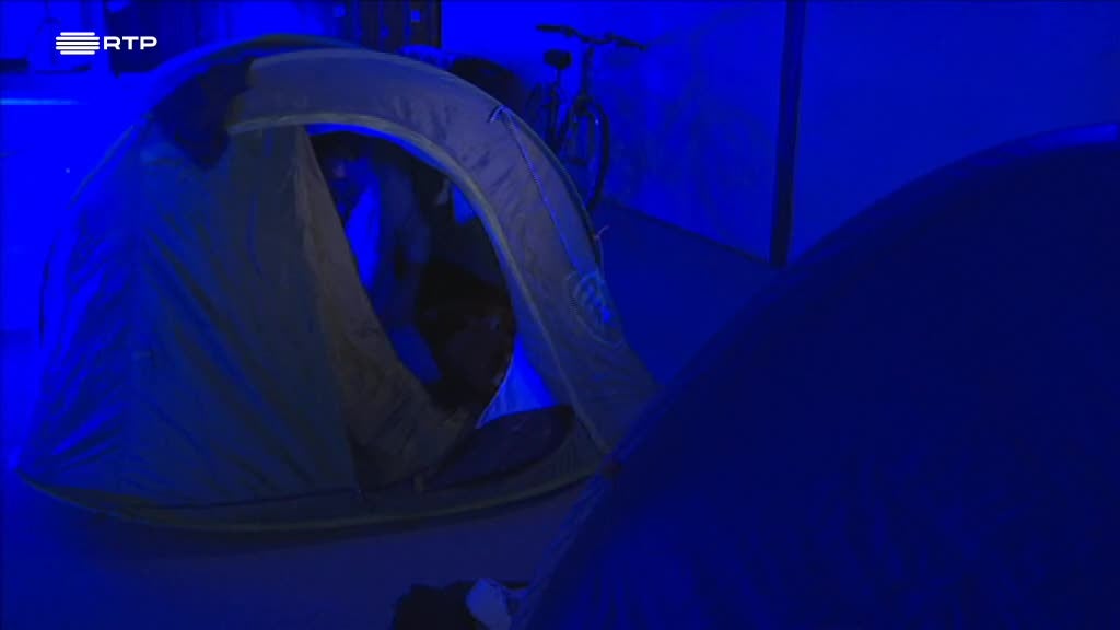 Imagem de Young Lions