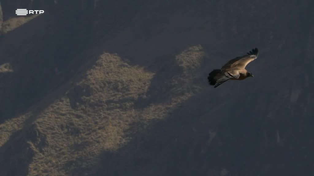 Imagem de Volta ao Mundo