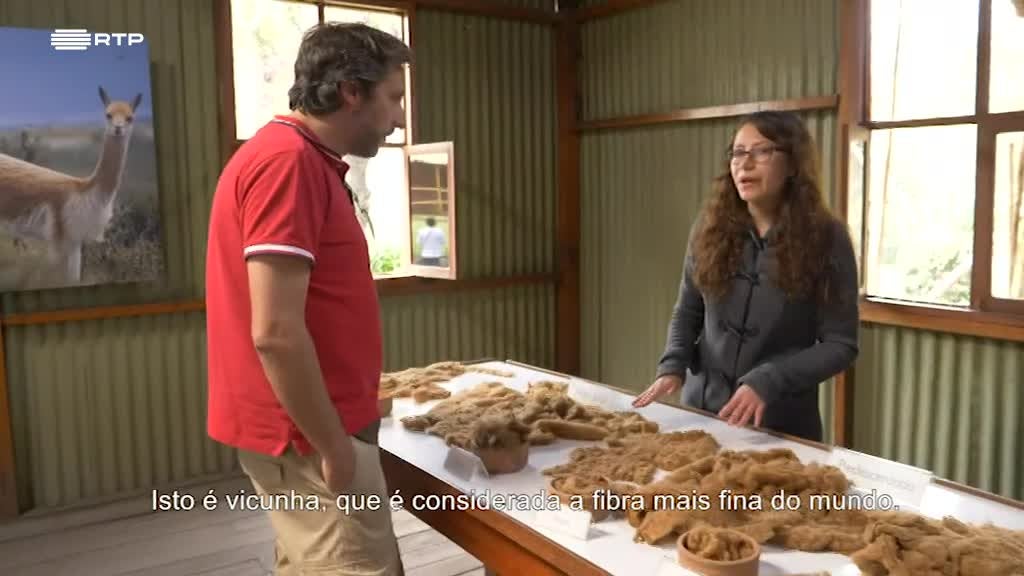 Imagem de Volta ao Mundo