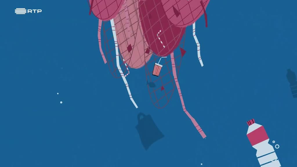 Imagem de À Boleia da Ciência - Vamos ajudar os Golfinhos