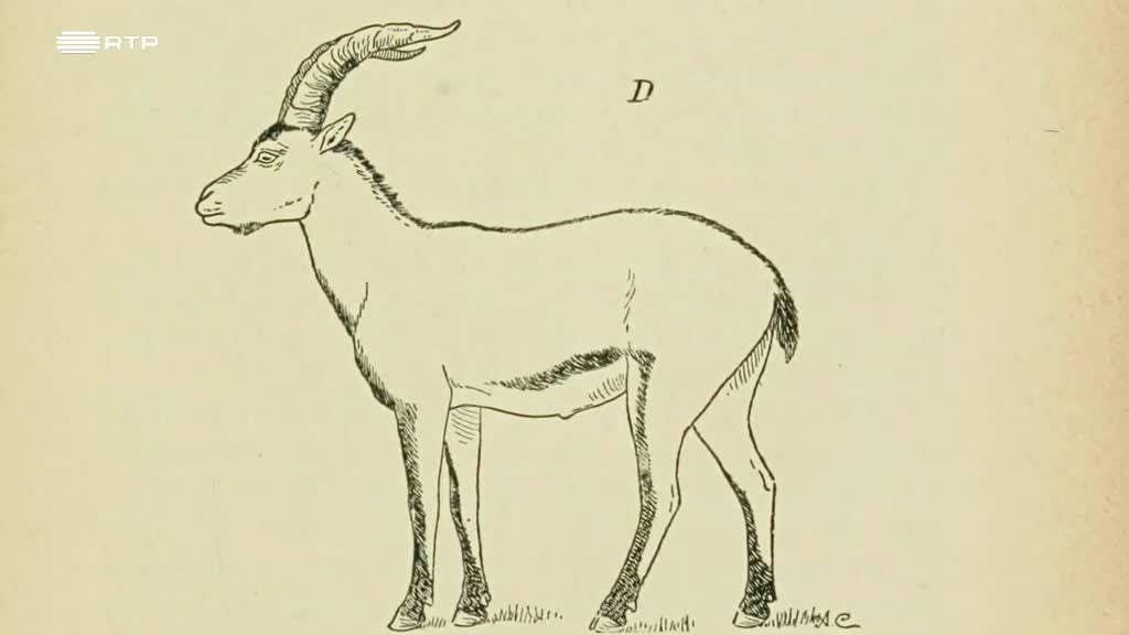 Imagem de Fauna Ibérica