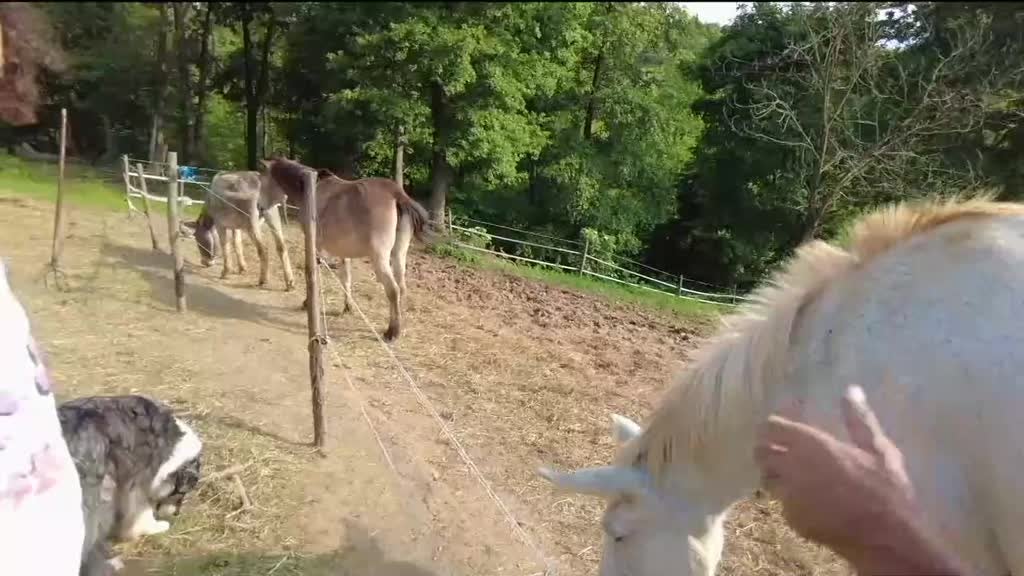 Imagem de Sim, Eu Consigo - Stella - O meu Refúgio