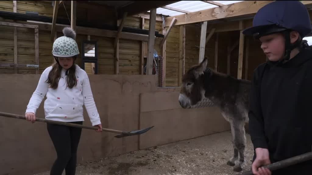 Imagem de Sim, Eu Consigo - Mia e Jimmy, o Burro