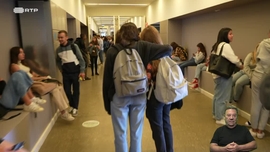 Imagem de O que � a solid�o? E o que faz uma ilustradora cient�fica?