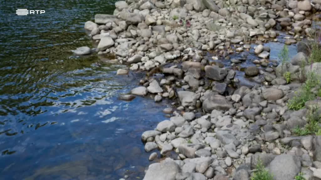 Imagem de Alexandria