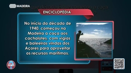 Imagem de Ser Que Sabes?