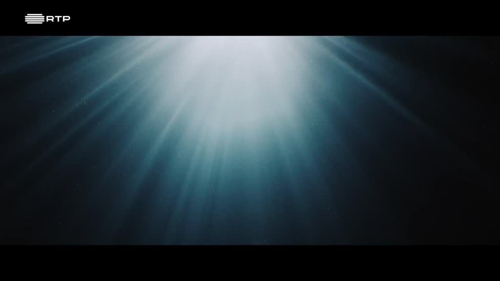 Imagem de Minuto Azul Escuro