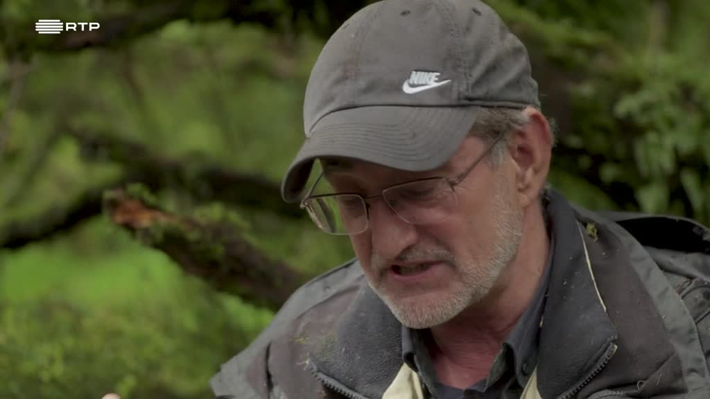 Imagem de As Palavras do Mundo