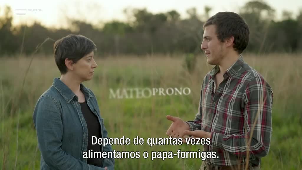 Imagem de As Palavras do Mundo