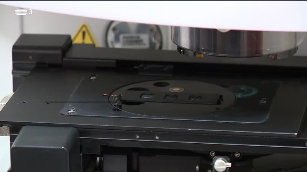 Imagem de As Palavras do Mundo