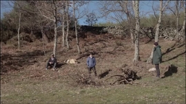 Imagem de Os Fotgrafos do Vulco