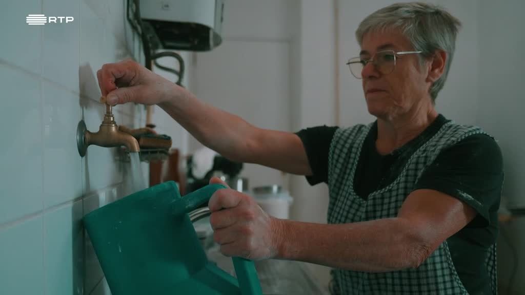 Imagem de Amores Perfeitos - Amores Perfeitos - Maria do Carmo