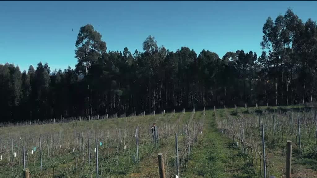 Imagem de Volta ao Mundo