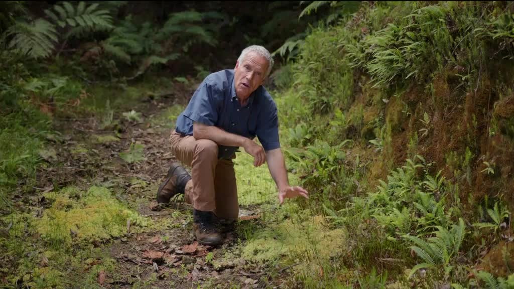 Imagem de Volta ao Mundo