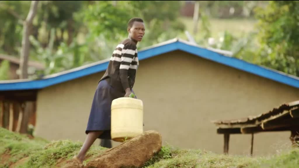 Imagem de Volta ao Mundo