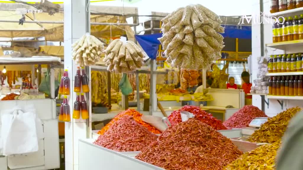 Imagem de Volta ao Mundo