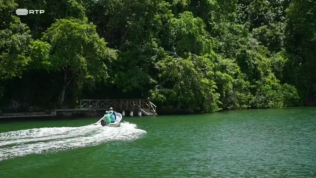 Imagem de Volta ao Mundo