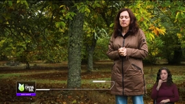 Imagem de Volta ao Mundo