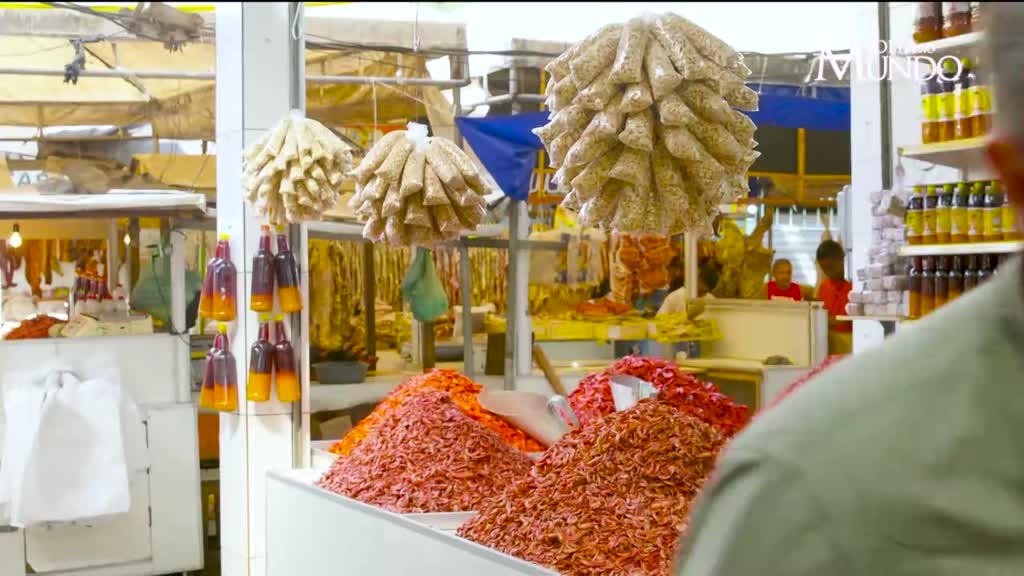 Imagem de Volta ao Mundo