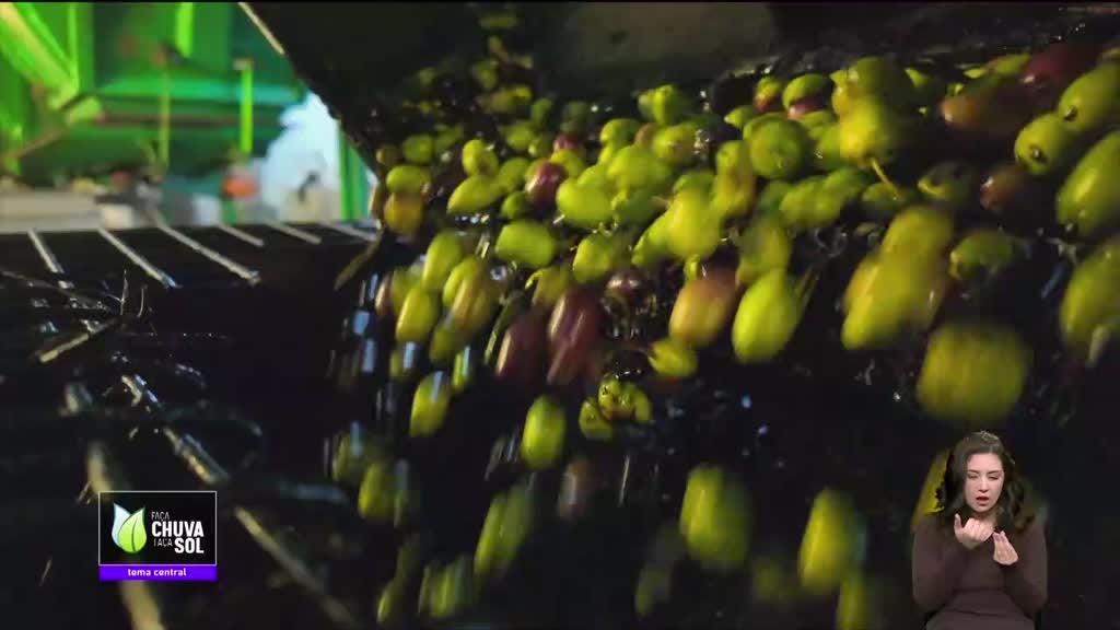 Imagem de Volta ao Mundo