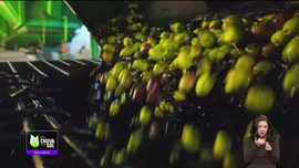 Imagem de Volta ao Mundo