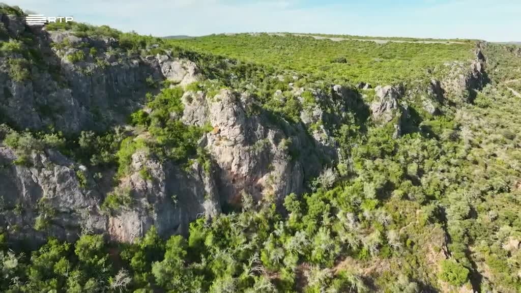 Imagem de Portugal, uma História Natural - Algarve