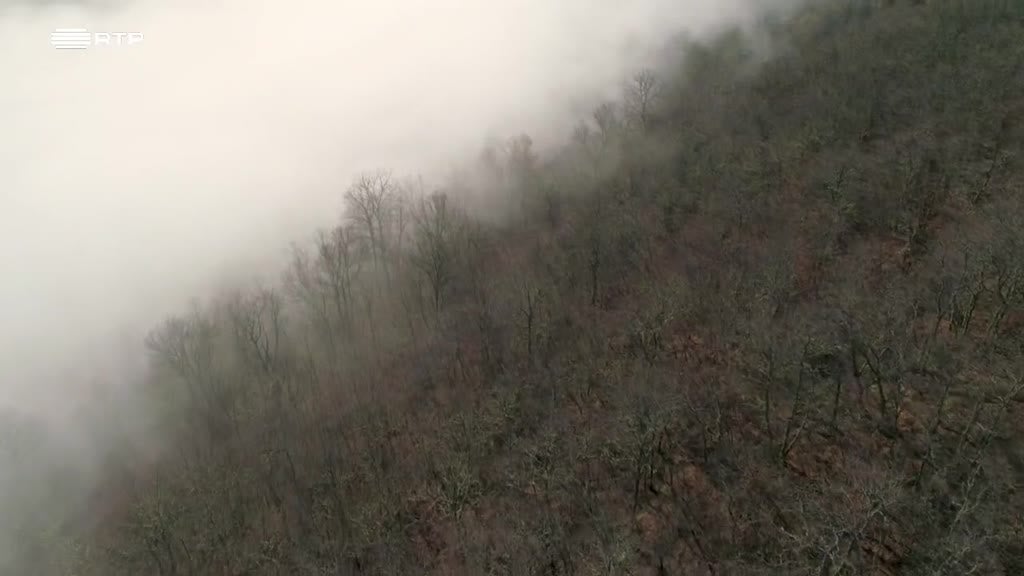 Imagem de Portugal, uma História Natural - Norte