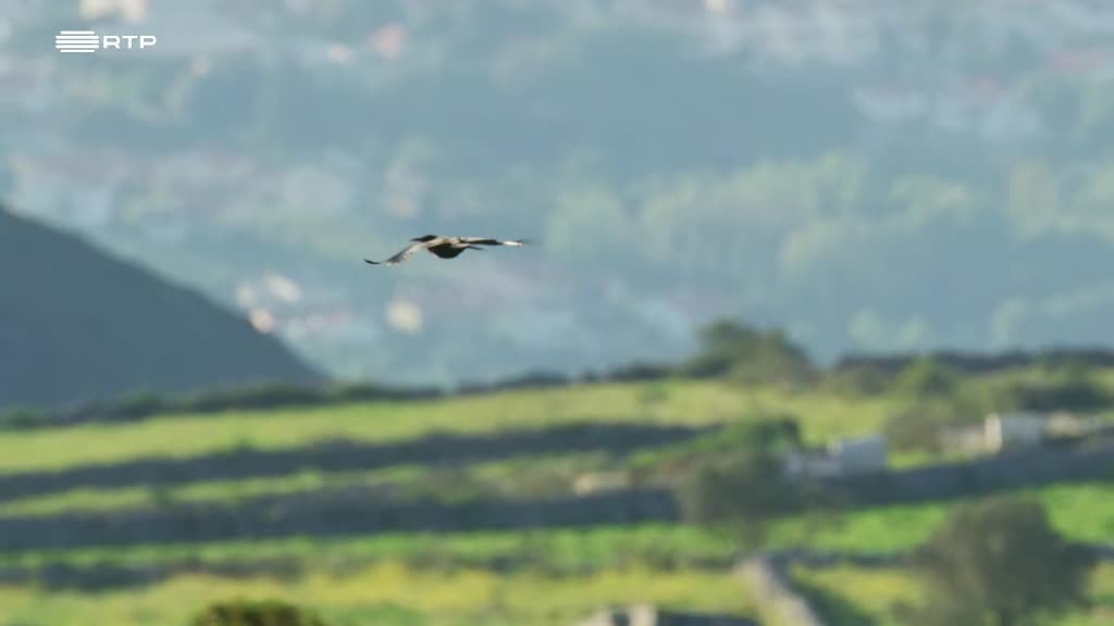 Imagem de Portugal, uma História Natural - Lisboa e Vale do Tejo