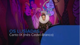 Imagem de Canto IX - Inês Castel-Branco
