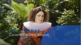 Imagem de Canto X - Carolina Amaral