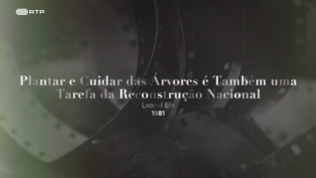 Imagem de Hora Cinemateca