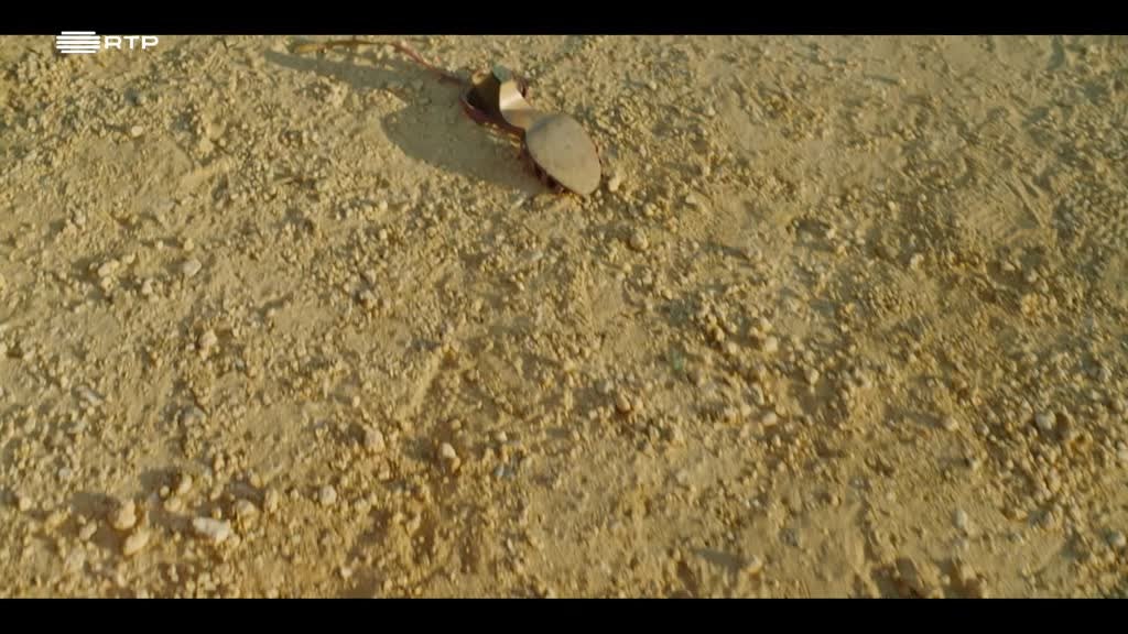 Imagem de O Americano - Foi o Dia Mais Triste da Minha Vida