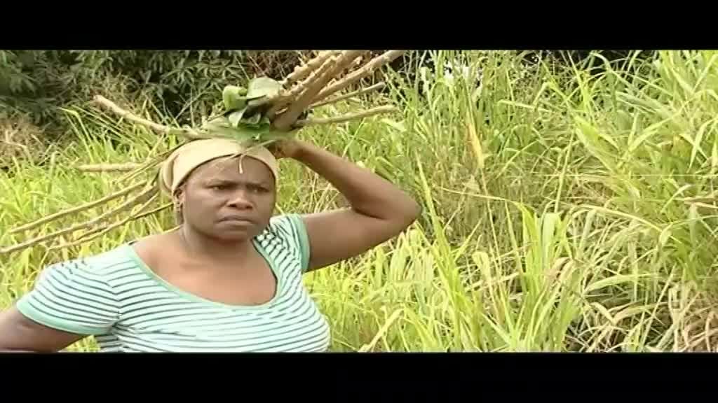 Imagem de O Contador de Histórias - Um Passeio Inesquecível