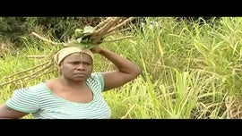 Imagem de Um Passeio Inesquec�vel