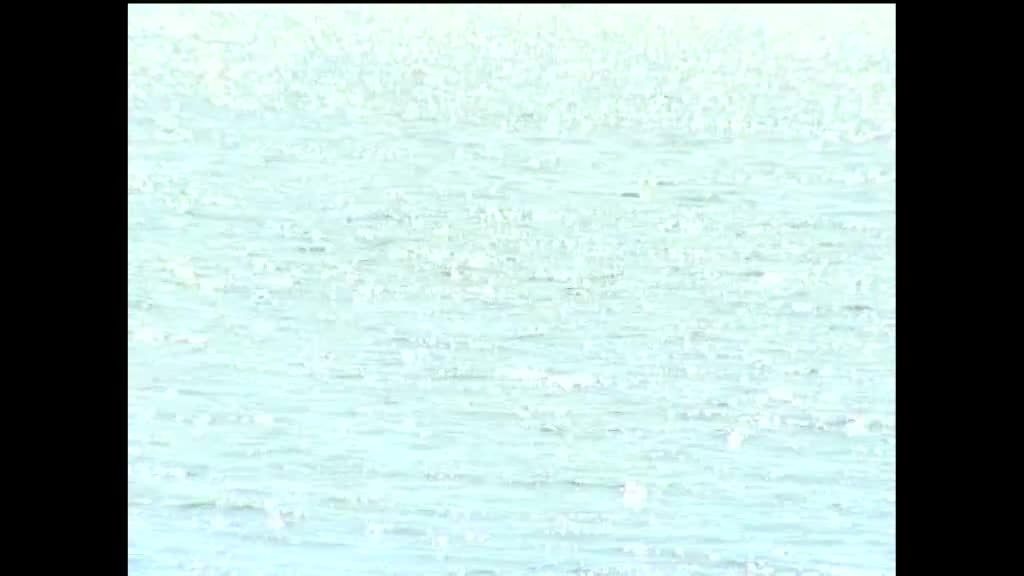 Imagem de O Contador de Histórias - Quem Tudo Quer Tudo Perde