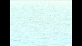 Imagem de Quem Tudo Quer Tudo Perde