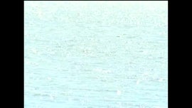 Imagem de Quem Tudo Quer Tudo Perde