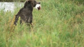 Imagem de Gigantes e Selvagens