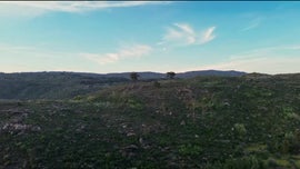 Imagem de Desperdcio