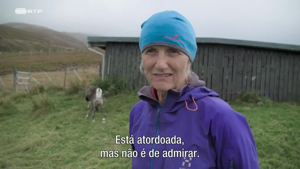 Imagem de O Primeiro Natal da Rena Bebé